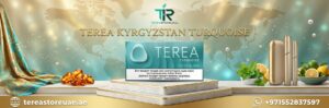 IQOS TEREA Turquoise Kyrgyzstan in Dubai UAE