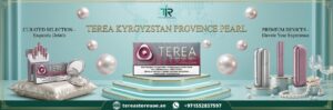 IQOS TEREA Provence Pearl Kyrgyzstan in Dubai UAE