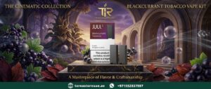 Juul 2 Pod Blackcurrant tobacco in Dubai UAE