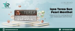 IQOS Terea Sun Pearl Menthol Italy in Dubai