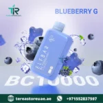 Buy Elfbar BC 10000 Disposable Vape in Dubai | 1 to 2 Hour UAE Home Delivery - Image 24