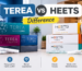 TEREA vs HEETS difference