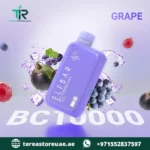 Buy Elfbar BC 10000 Disposable Vape in Dubai | 1 to 2 Hour UAE Home Delivery - Image 14