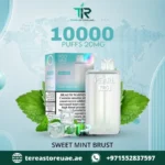 Buy Pod Salt Pearl Pro 10000 Puffs Disposable Vape in Dubai | 1 to 2 Hour Dubai Delivery - Image 2