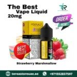 POD SALT BLUEBERRY MIST 30ML SALT NIC E-LIQUID - Image 4