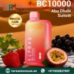 Buy Elfbar BC 10000 Disposable Vape in Dubai | 1 to 2 Hour UAE Home Delivery - Image 22