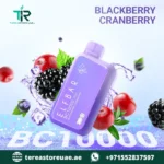 Buy Elfbar BC 10000 Disposable Vape in Dubai | 1 to 2 Hour UAE Home Delivery - Image 20