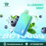 Buy Elfbar BC 10000 Disposable Vape in Dubai | 1 to 2 Hour UAE Home Delivery - Image 18