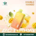 Buy Elfbar BC 10000 Disposable Vape in Dubai | 1 to 2 Hour UAE Home Delivery - Image 17