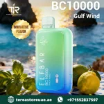 Buy Elfbar BC 10000 Disposable Vape in Dubai | 1 to 2 Hour UAE Home Delivery - Image 9