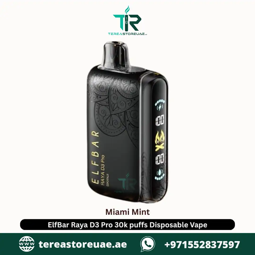 Elf Bar Raya D3 Pro 30K Puffs MIAMI MINT in Dubai UAE