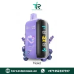 ELF BAR Raya D3 25000 Puffs VIOLET 50MG Disposable Vape in Dubai UAE